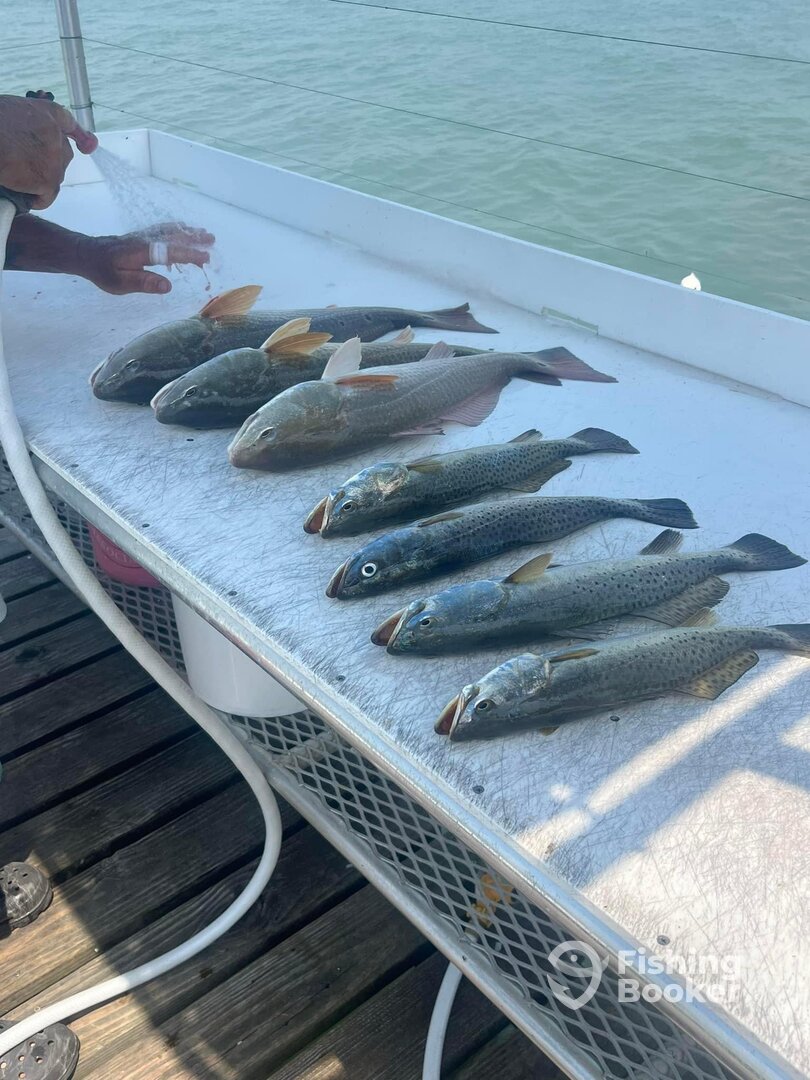 South Padre Island Report Photo 0