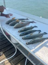 Bay blow outs