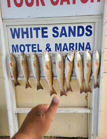 South Padre Island Report Photo 1