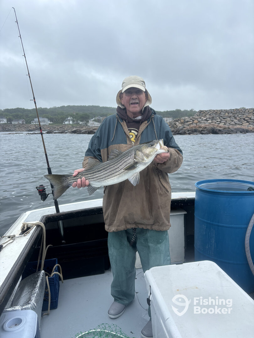 Rockport Report Photo 0