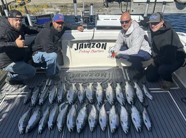 Fish are getting bigger