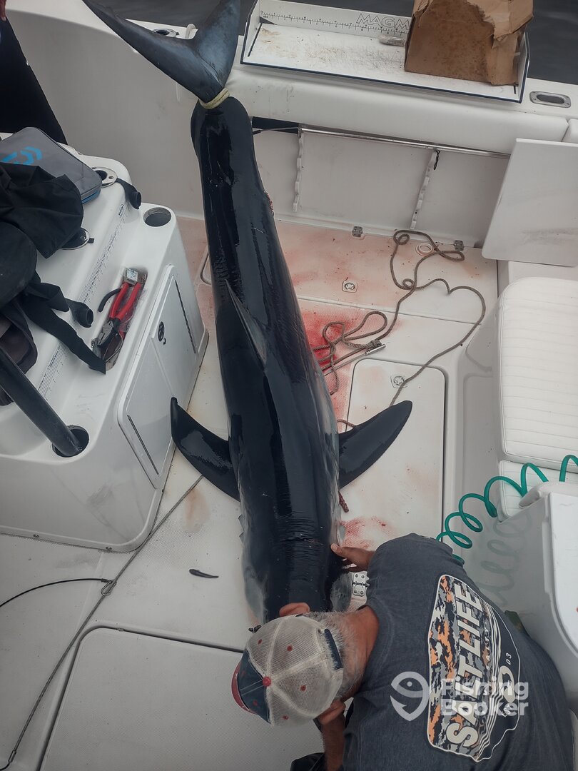 San Diego Report Photo 0