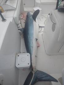 San Diego Report Photo 1