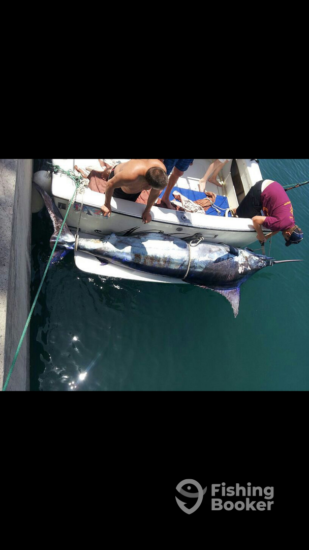 Costa Adeje Report Photo 0