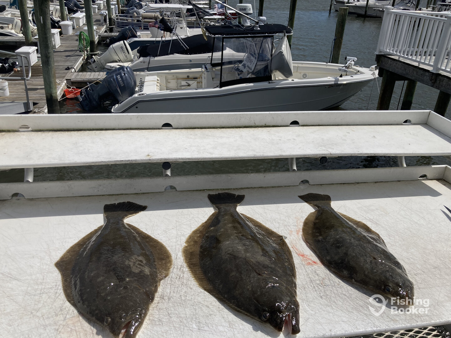 Ocean City Report Photo 0