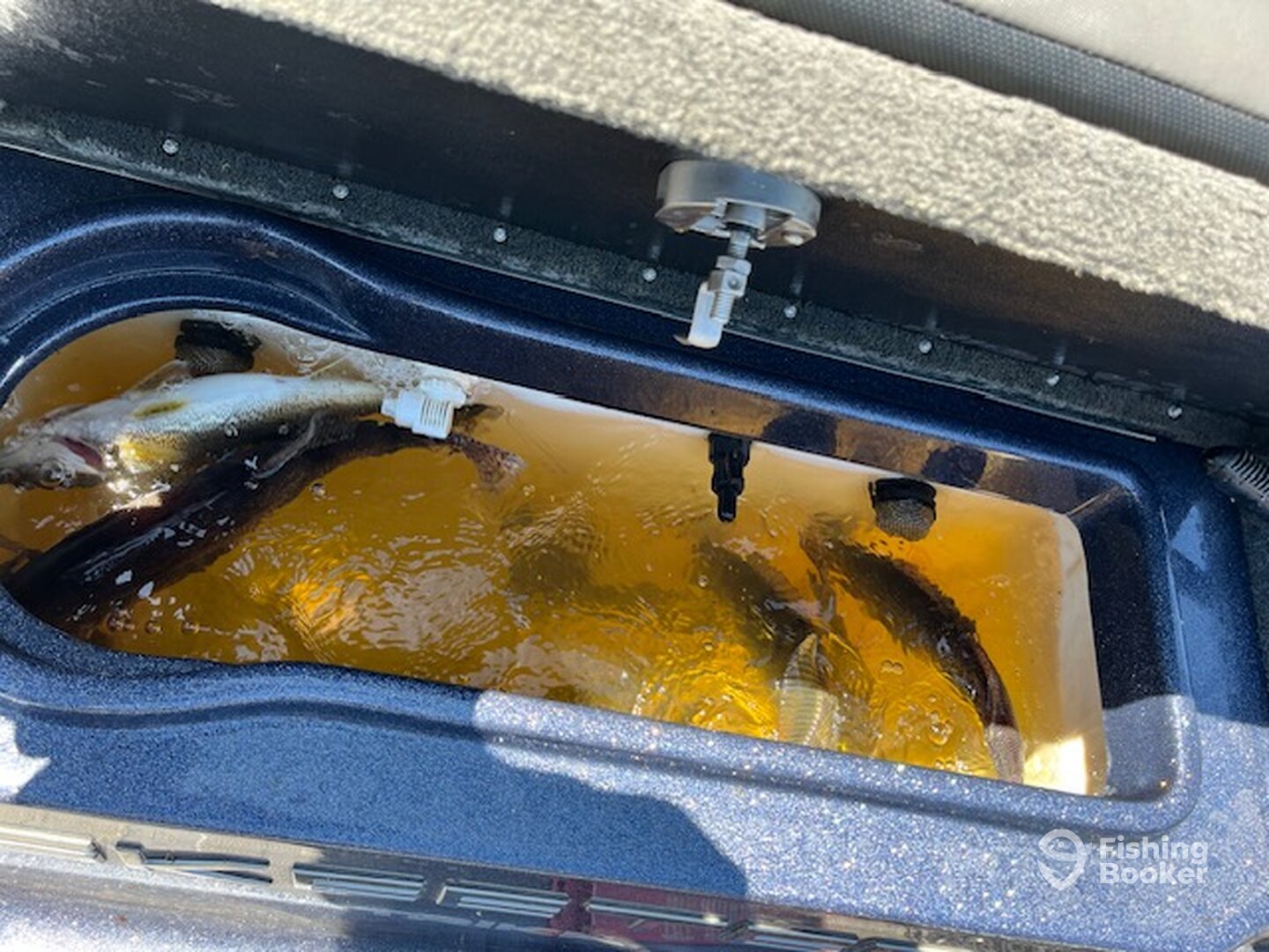 Lake City Report Photo 0