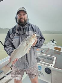 Gamboa Report Photo 1