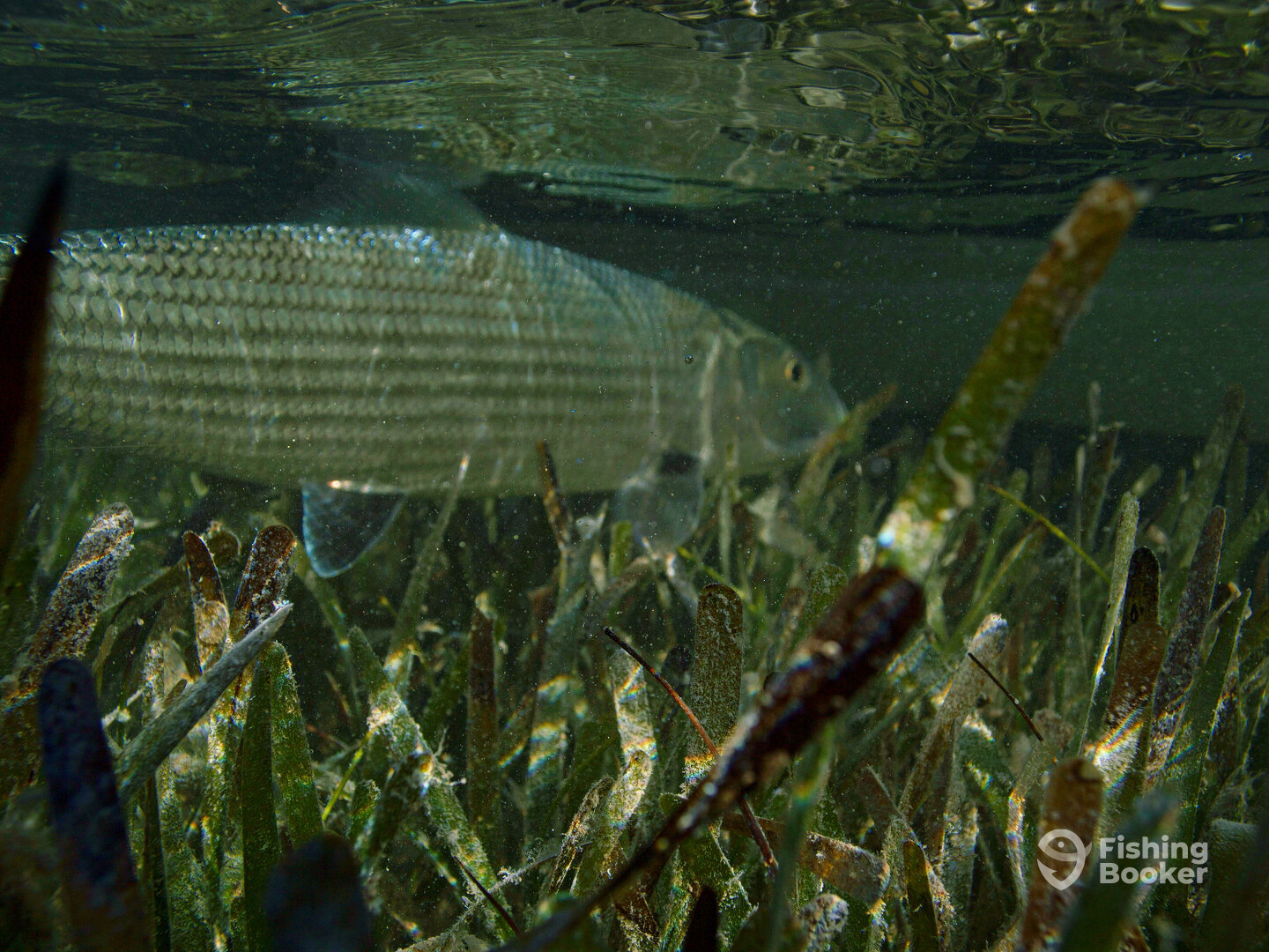 Key West Report Photo 0