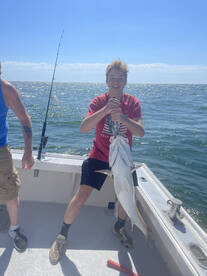 Virginia Beach Report Photo 2