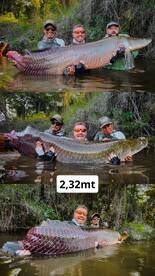 Manaus Report Photo 2