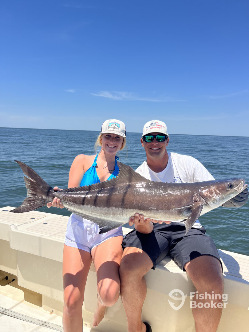 Gloucester Point Report Photo 0