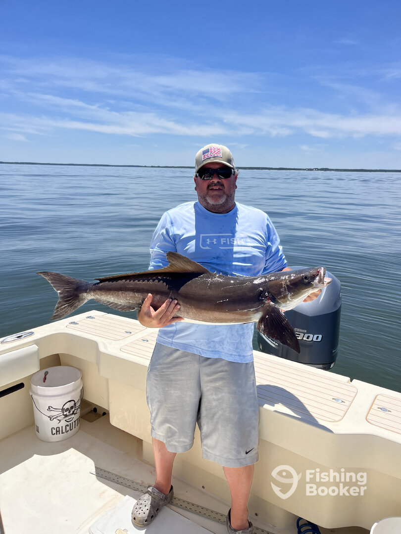 Gloucester Point Report Photo 0