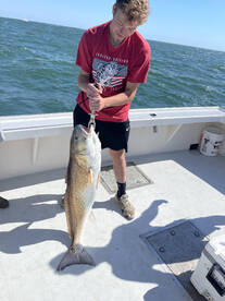 Virginia Beach Report Photo 2