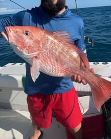 7/12/2024  1 day to harvest Red snapper