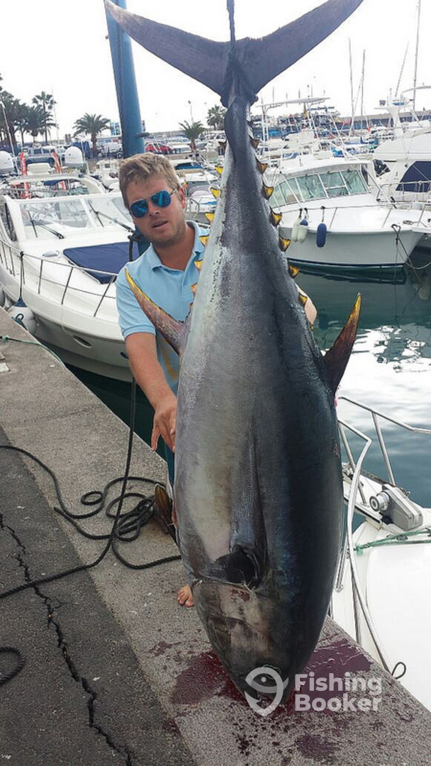 Costa Adeje Report Photo 0