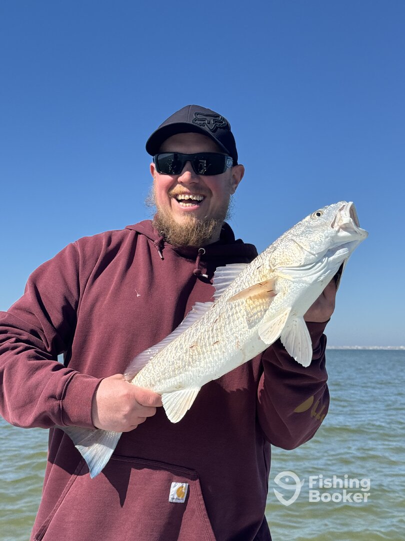 Dauphin Island Report Photo 0