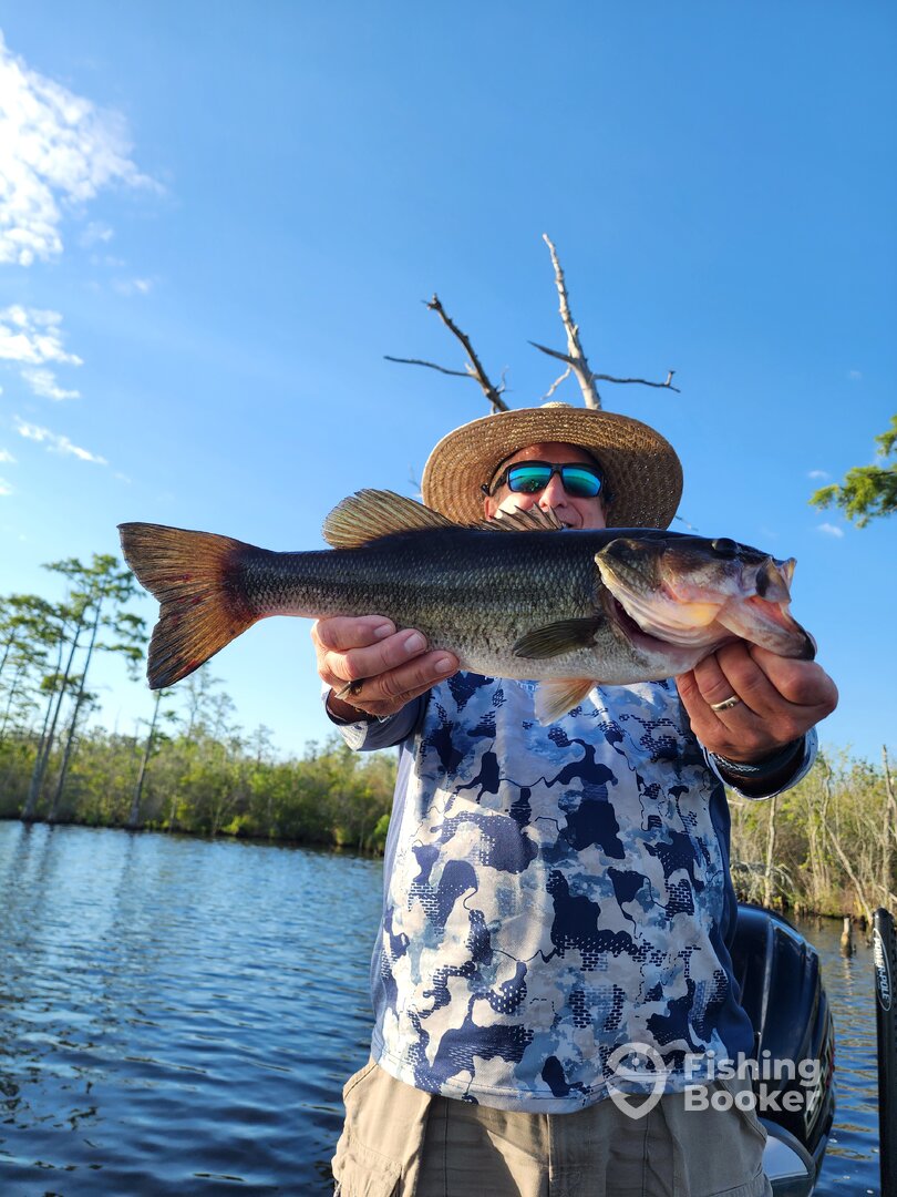 Kitty Hawk Report Photo 0