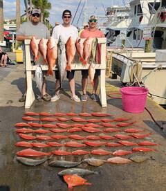 10 hour with 3 people