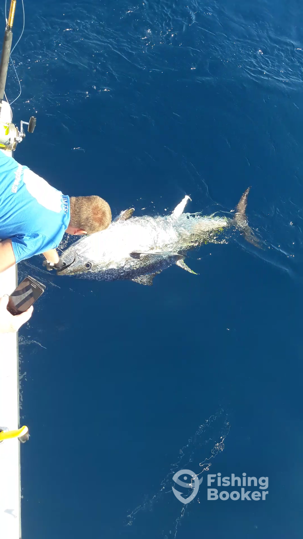 Costa Adeje Report Photo 0