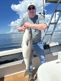 Bourne Report Photo 1