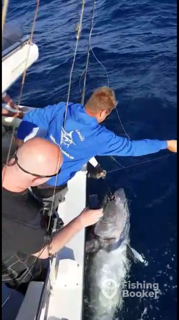 Costa Adeje Report Photo 0