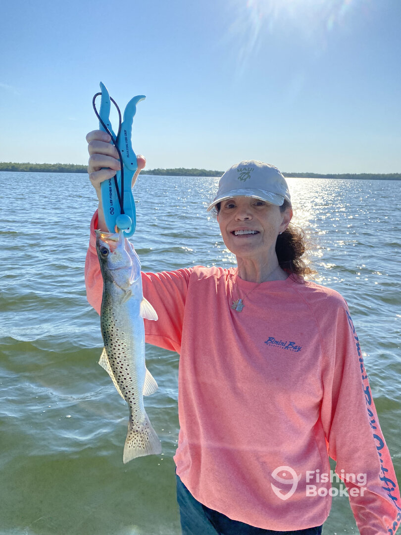 Everglades City Report Photo 0