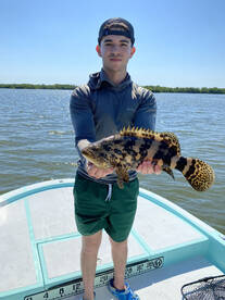 Everglades City Report Photo 1