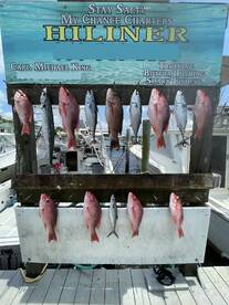 red snapper family fishing trips