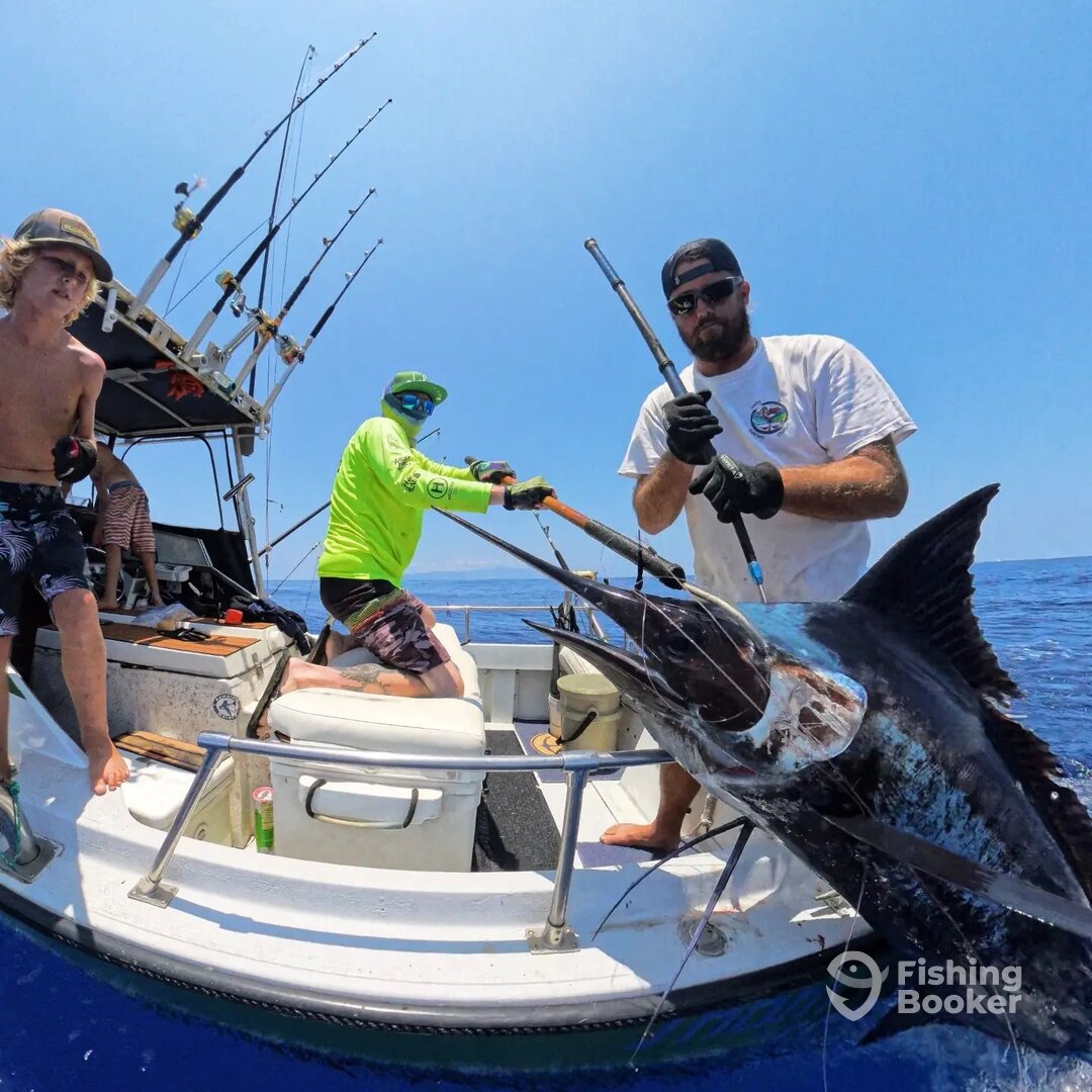 Haleiwa Report Photo 0