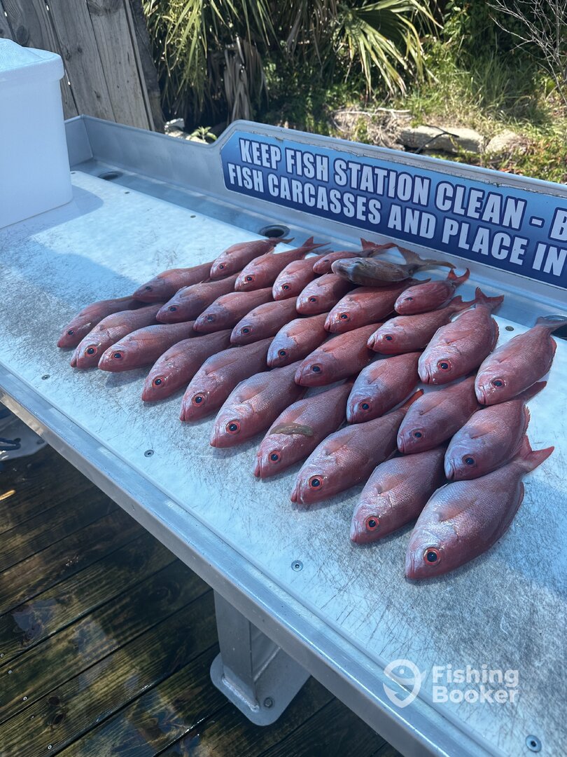 Shalimar Report Photo 0