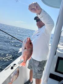 Shalimar Report Photo 2