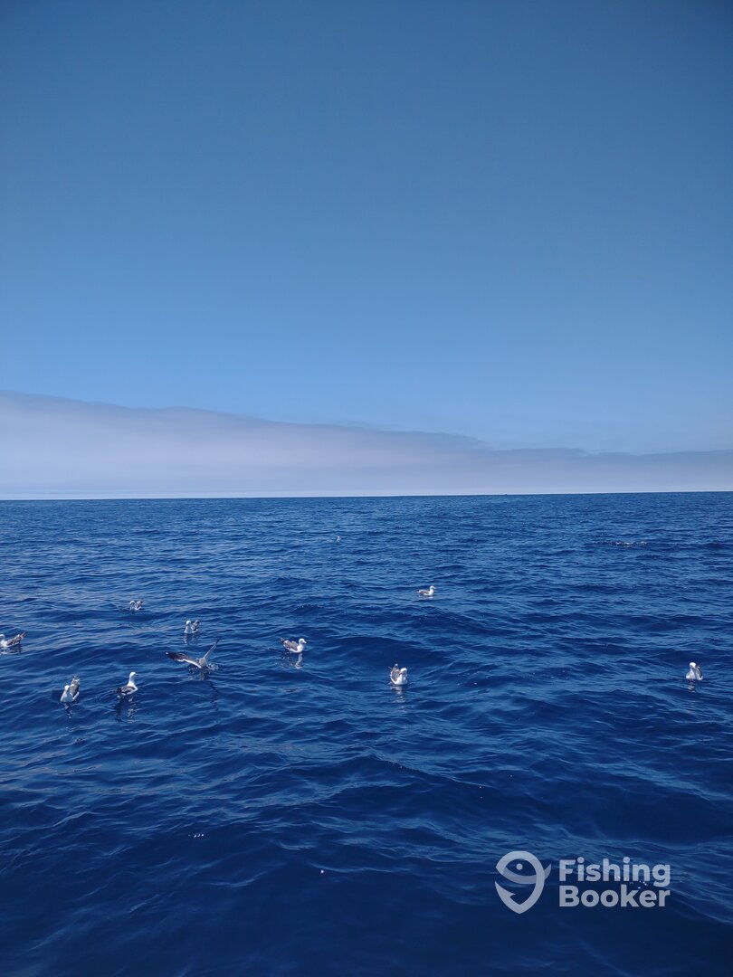 San Diego Report Photo 0