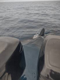 San Diego Report Photo 2