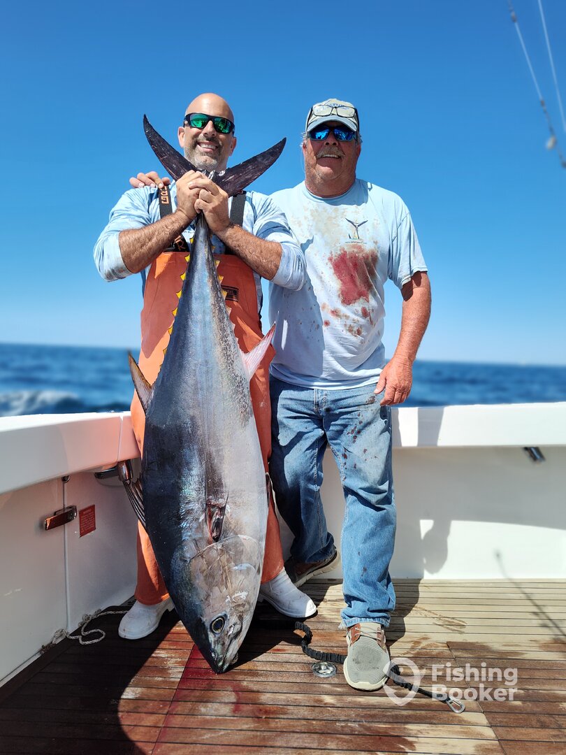 Montauk Report Photo 0