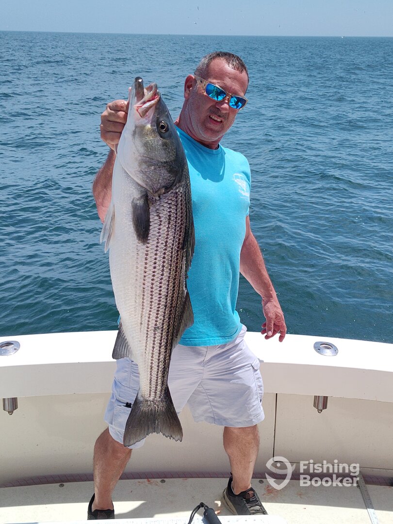 Montauk Report Photo 0