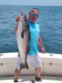 Striped bass bonanza!