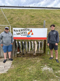 King salmon and Lake trout