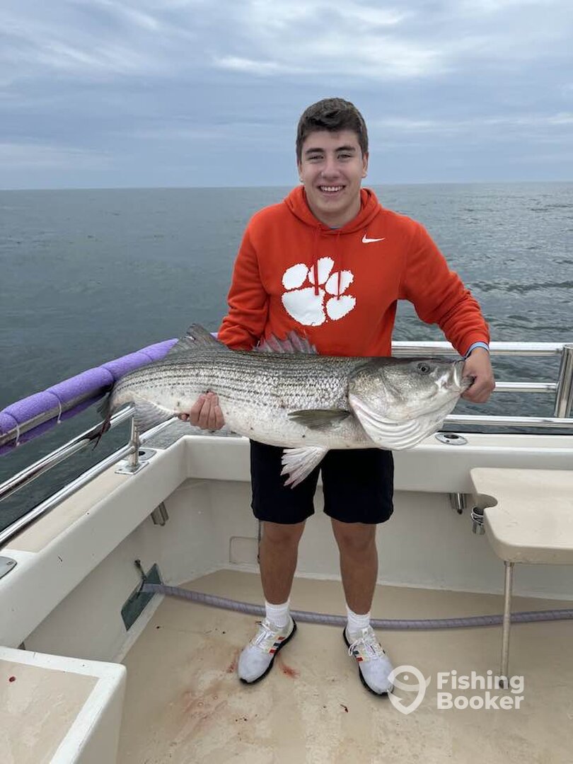 Montauk Report Photo 0