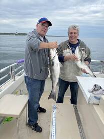 Montauk Report Photo 2