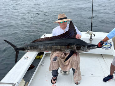 Big Striped Marlin Today