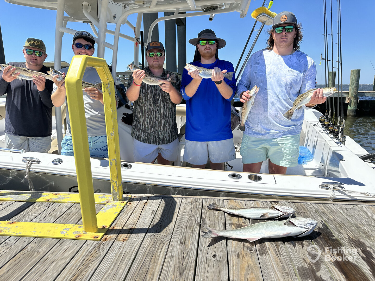 Manteo Report Photo 0