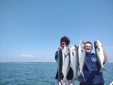 Blues are still in our area