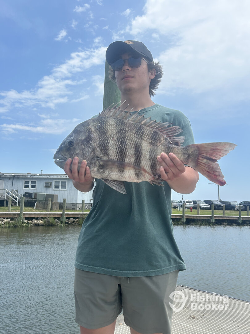 Nags Head Report Photo 0