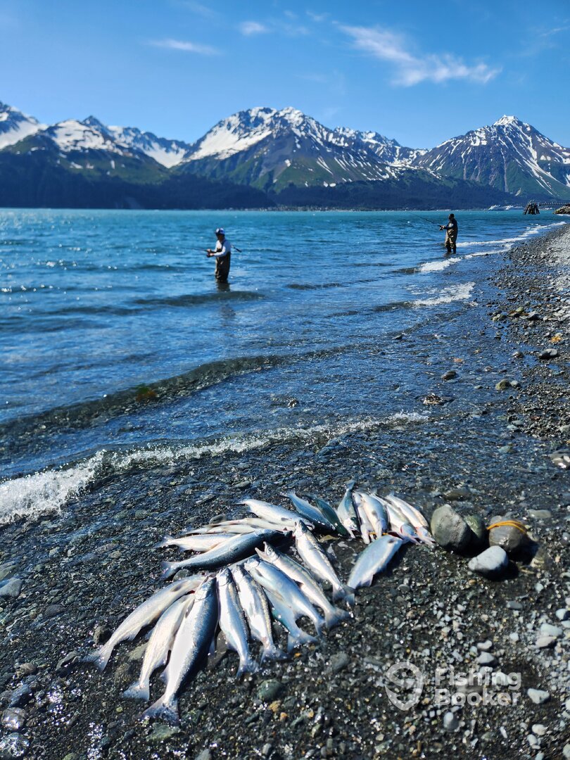 Seward Report Photo 0