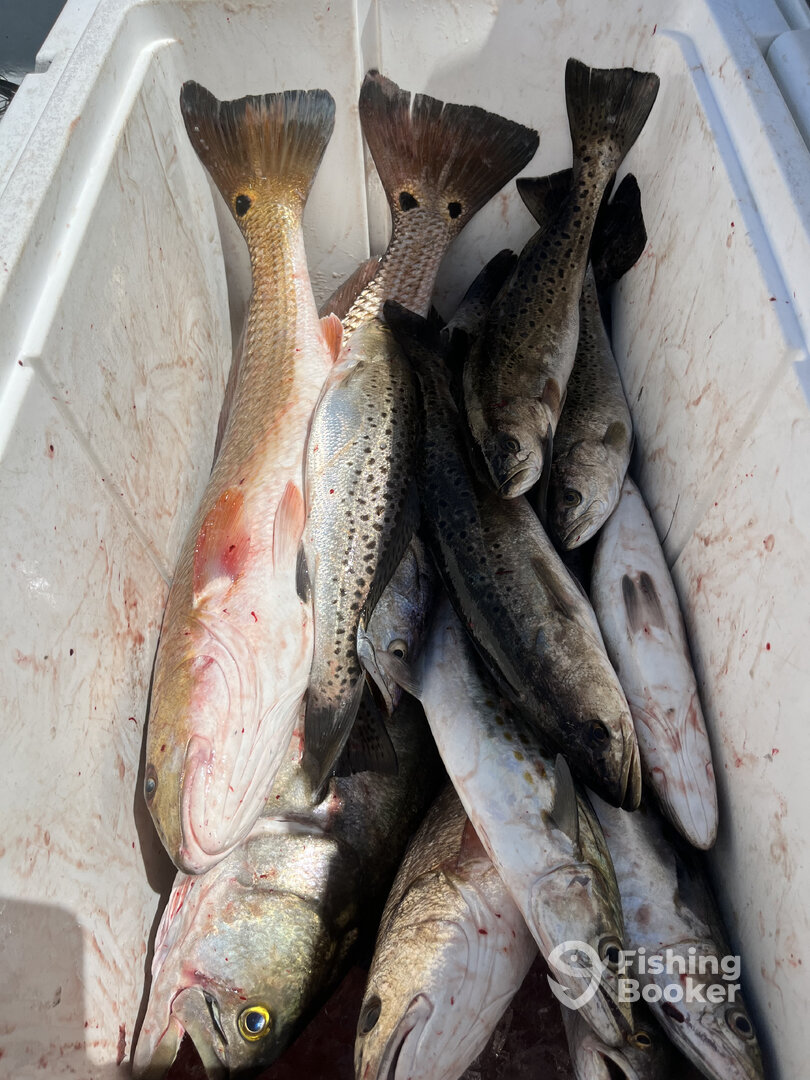 Nags Head Report Photo 0