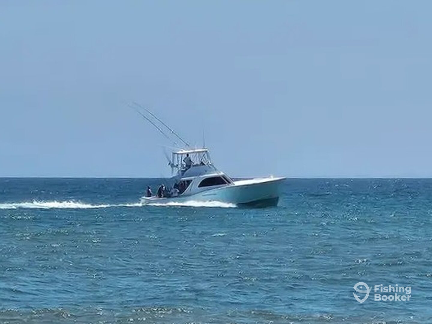 Wanchese Report Photo 0