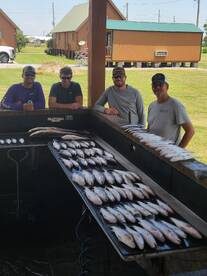 6-15-2024 Fishing report