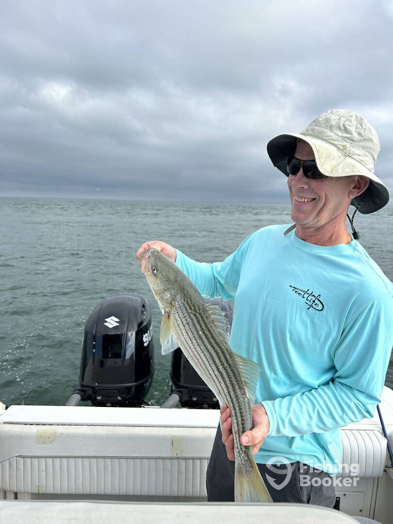 Orleans Report Photo 0