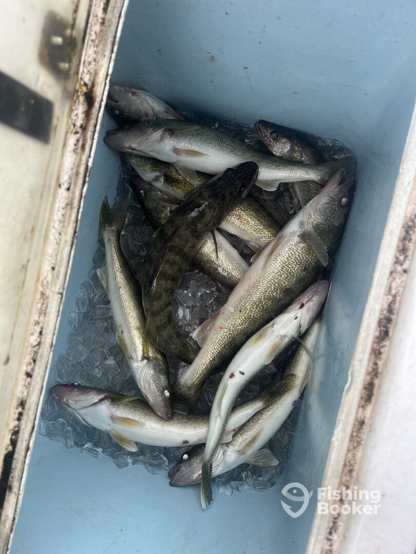 Wyandotte Report Photo 0