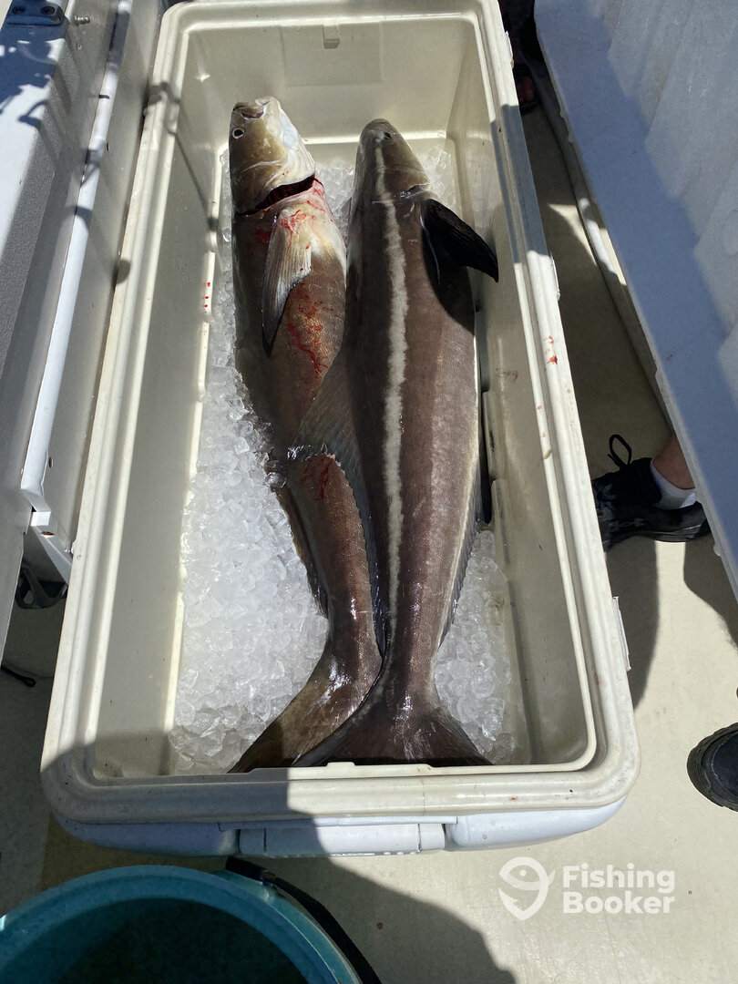 Reedville Report Photo 0